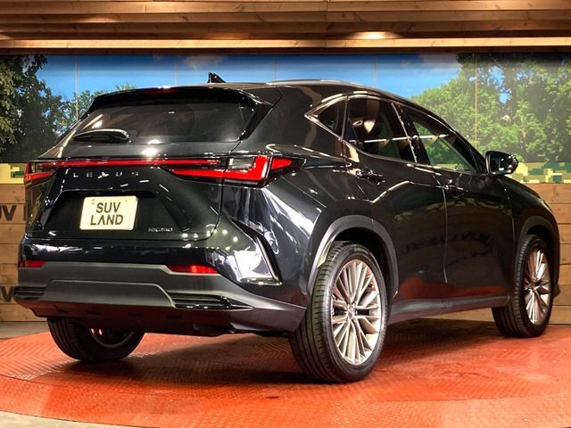 TOYOTA LEXUS NX250 2023