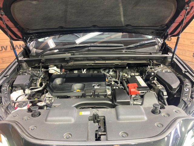 TOYOTA LEXUS NX250 2023