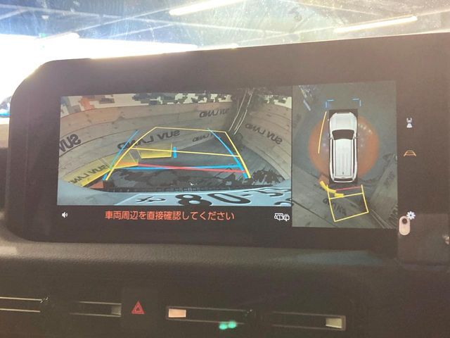 TOYOTA LANDCRUISER 250 2024