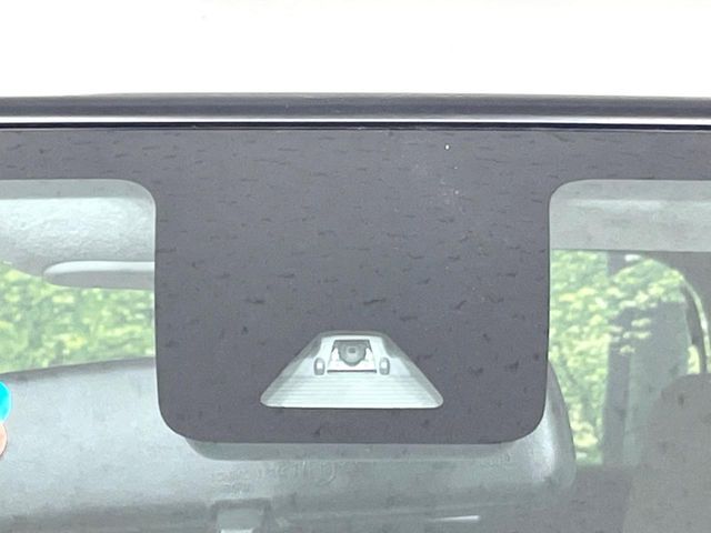 DAIHATSU CAST STYLE 2017