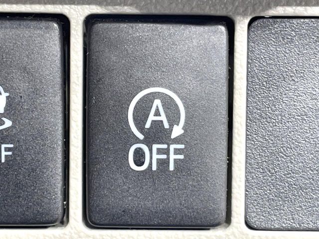 DAIHATSU CAST STYLE 2017