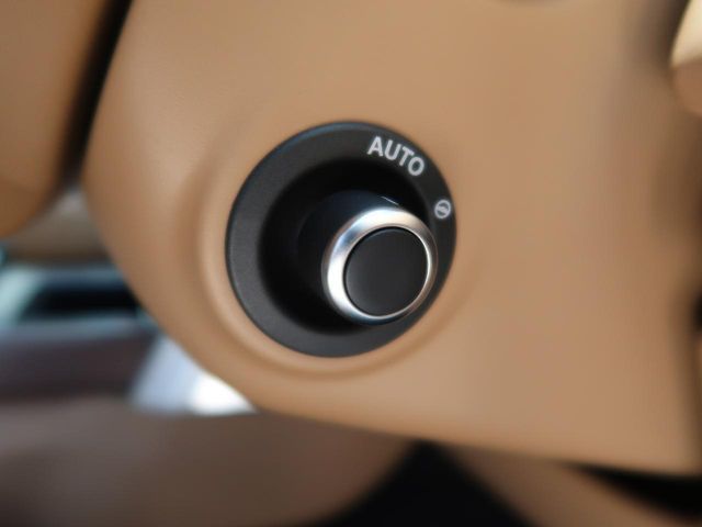 ROVER ROVER RANGE ROVER 2024