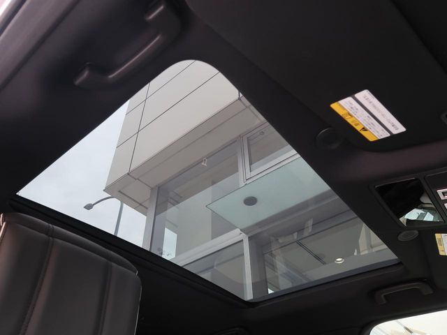 ROVER ROVER DISCOVERY 2021