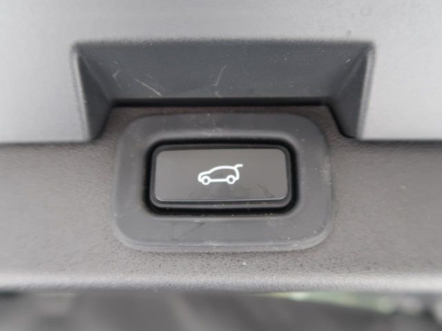 ROVER ROVER DISCOVERY 2021