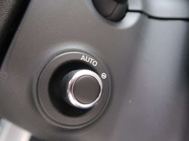 ROVER ROVER DISCOVERY 2021