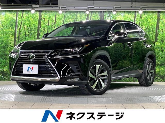 TOYOTA LEXUS NX300 2019