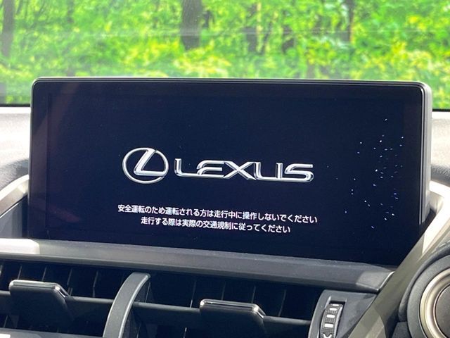 TOYOTA LEXUS NX300 2019