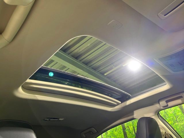 TOYOTA LEXUS NX300 2019