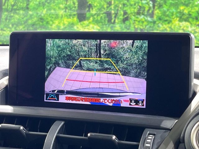 TOYOTA LEXUS NX300 2019