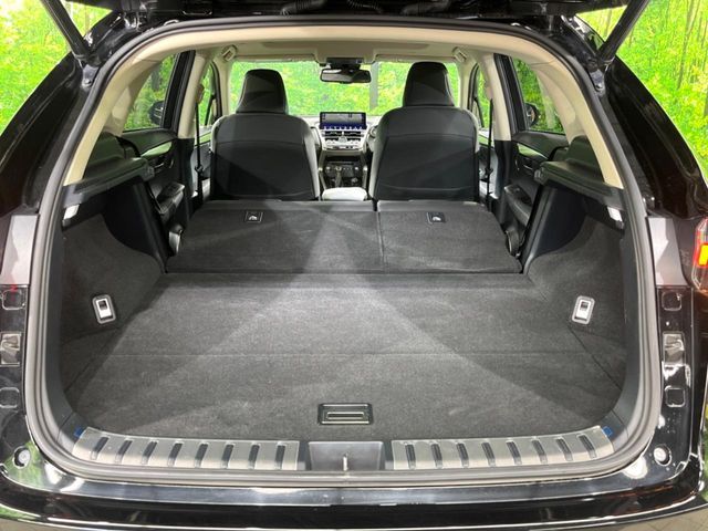 TOYOTA LEXUS NX300 2019