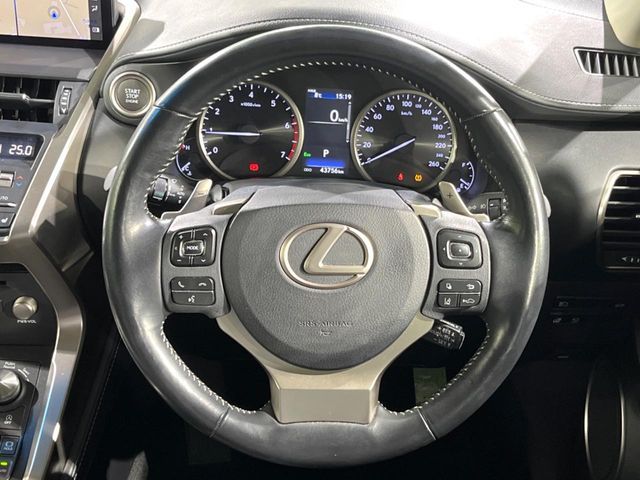 TOYOTA LEXUS NX300 2019
