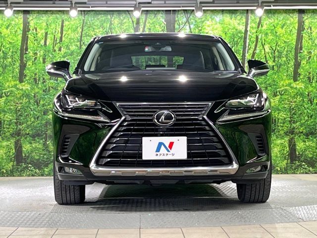 TOYOTA LEXUS NX300 2019