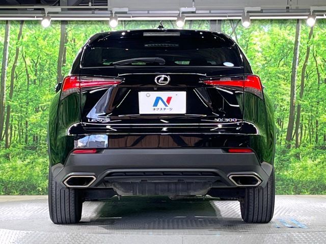 TOYOTA LEXUS NX300 2019