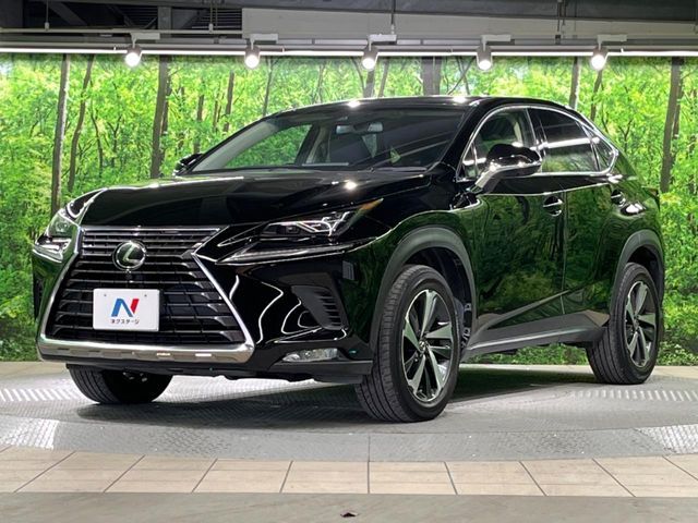 TOYOTA LEXUS NX300 2019