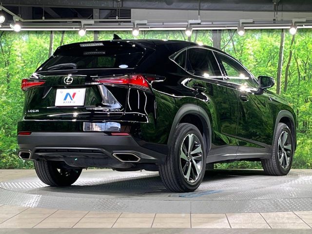 TOYOTA LEXUS NX300 2019