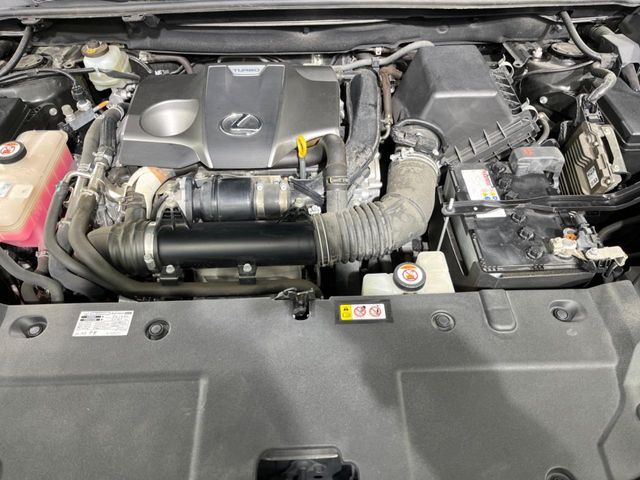 TOYOTA LEXUS NX300 2019