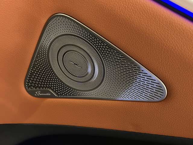 MERCEDES BENZ MERCEDES BENZ S class 2021