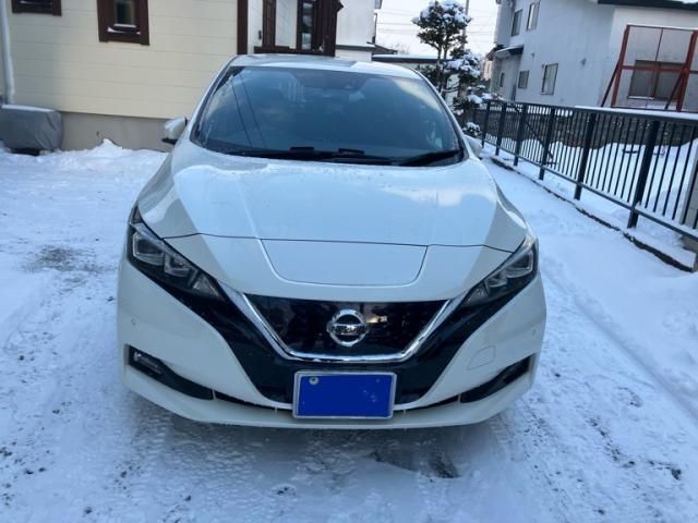 NISSAN LEAF 2017