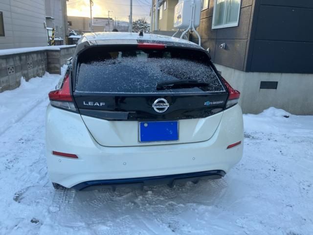 NISSAN LEAF 2017