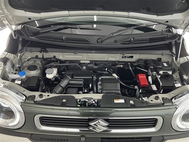 SUZUKI HUSTLER 4WD 2025