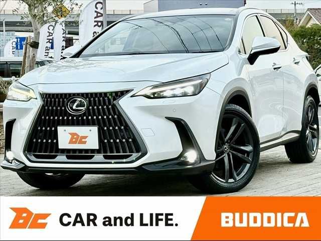 TOYOTA LEXUS NX250 AWD 2023