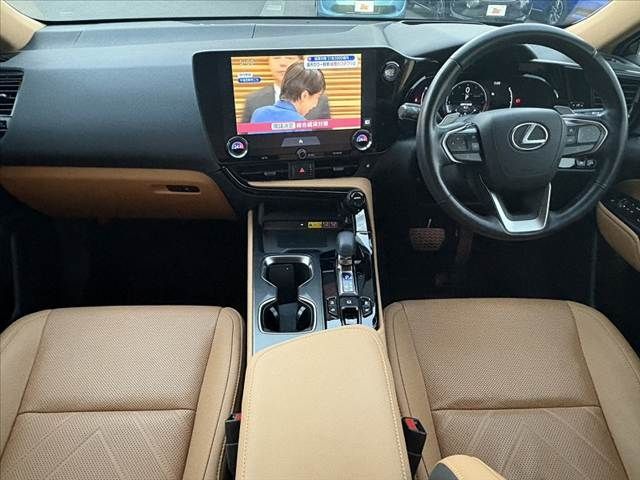 TOYOTA LEXUS NX250 AWD 2023