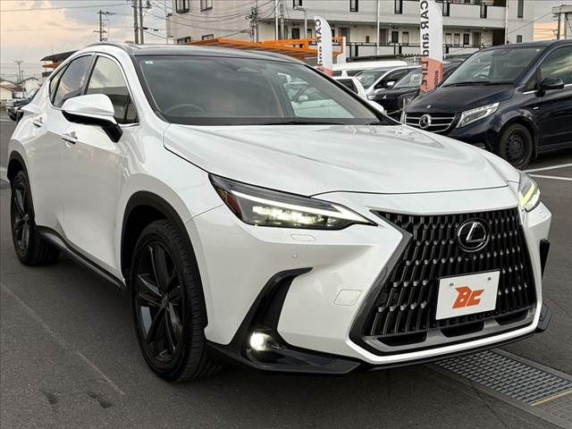 TOYOTA LEXUS NX250 AWD 2023