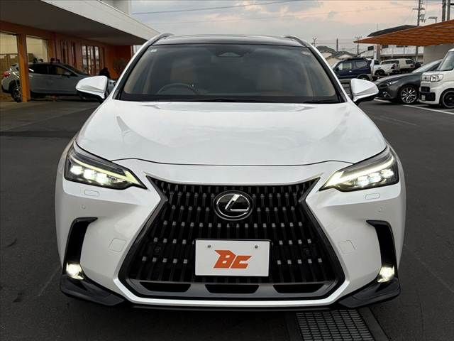 TOYOTA LEXUS NX250 AWD 2023