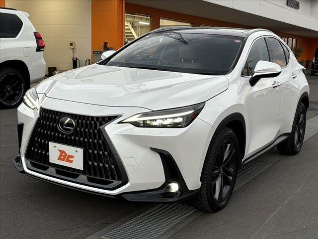 TOYOTA LEXUS NX250 AWD 2023