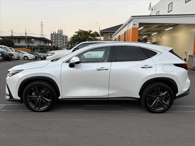 TOYOTA LEXUS NX250 AWD 2023