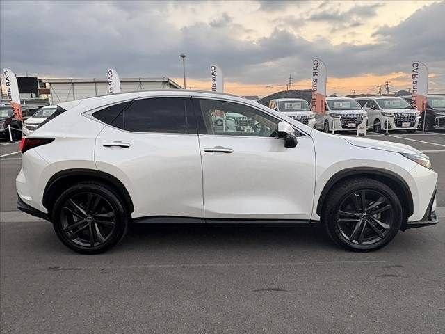 TOYOTA LEXUS NX250 AWD 2023