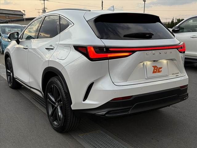 TOYOTA LEXUS NX250 AWD 2023