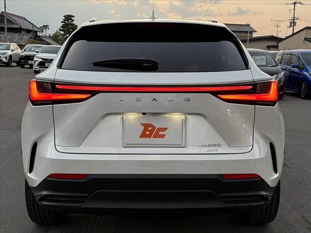 TOYOTA LEXUS NX250 AWD 2023