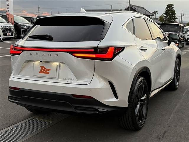 TOYOTA LEXUS NX250 AWD 2023