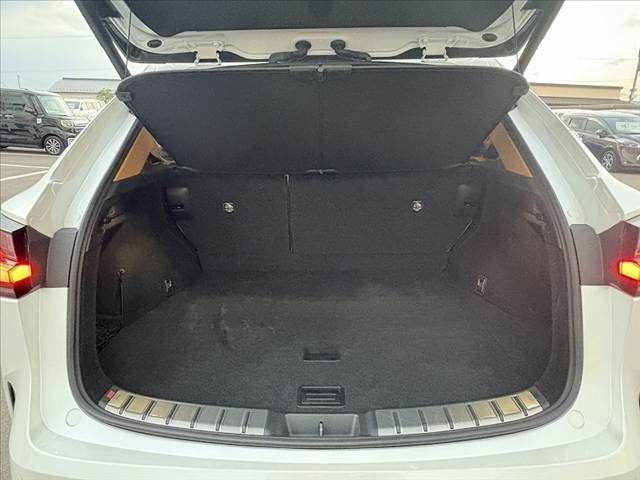 TOYOTA LEXUS NX250 AWD 2023