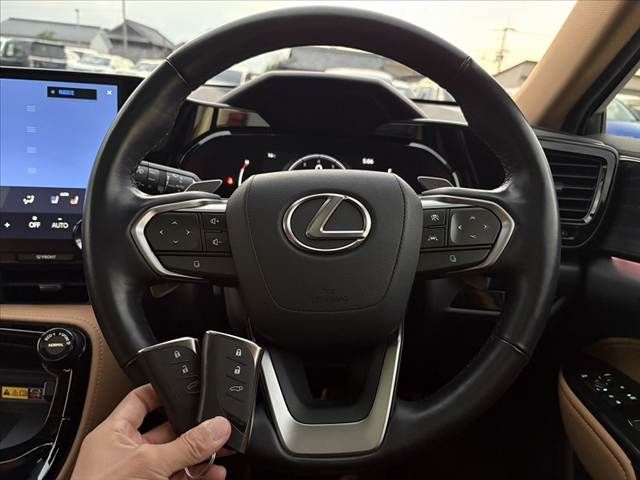 TOYOTA LEXUS NX250 AWD 2023