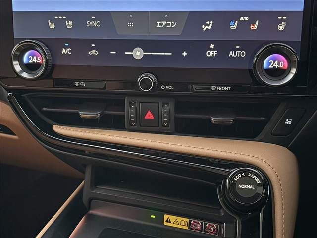 TOYOTA LEXUS NX250 AWD 2023