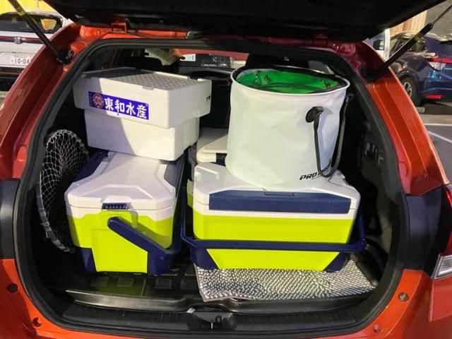 TOYOTA COROLLA FIELDER HYBRID 2016