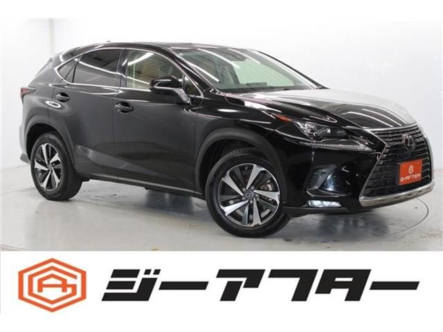 TOYOTA LEXUS NX300 2020