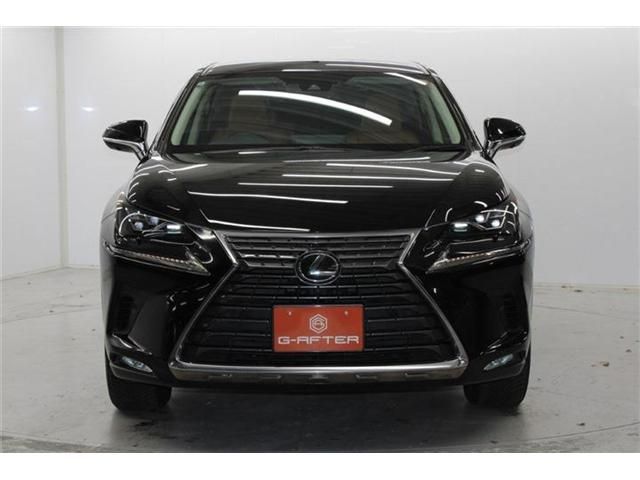 TOYOTA LEXUS NX300 2020