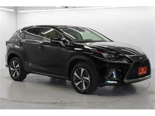TOYOTA LEXUS NX300 2020