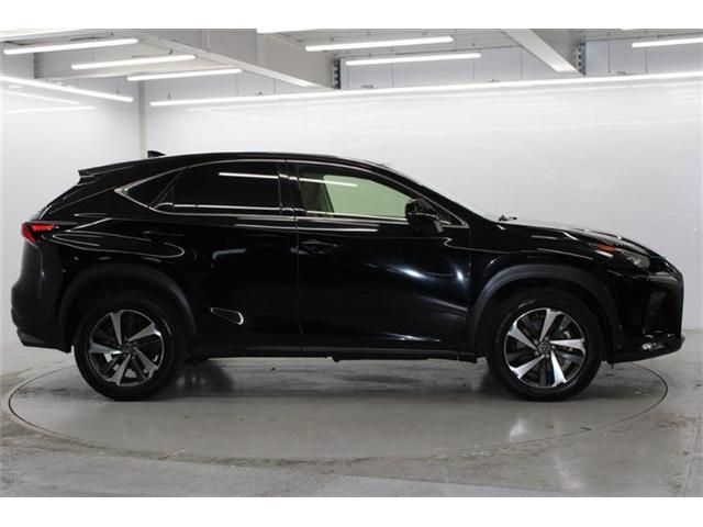 TOYOTA LEXUS NX300 2020