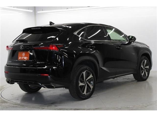 TOYOTA LEXUS NX300 2020