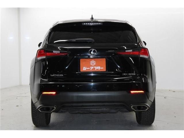 TOYOTA LEXUS NX300 2020
