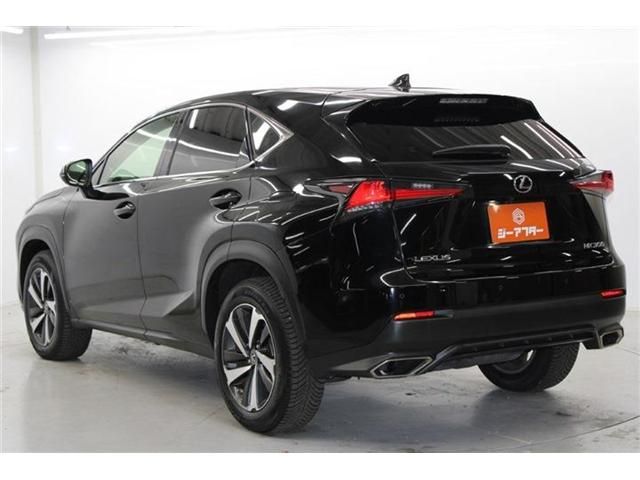 TOYOTA LEXUS NX300 2020