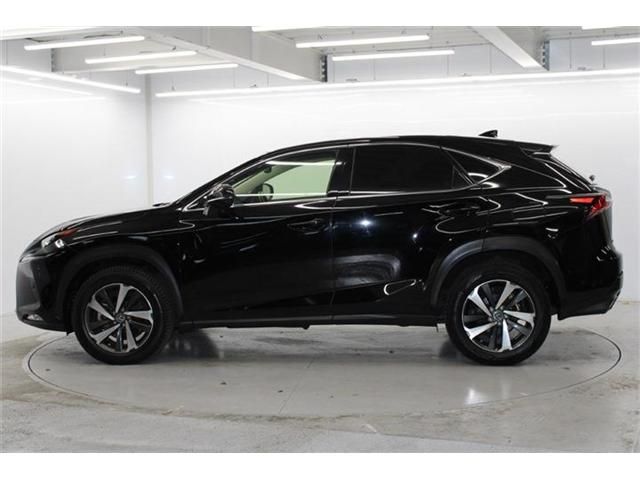 TOYOTA LEXUS NX300 2020