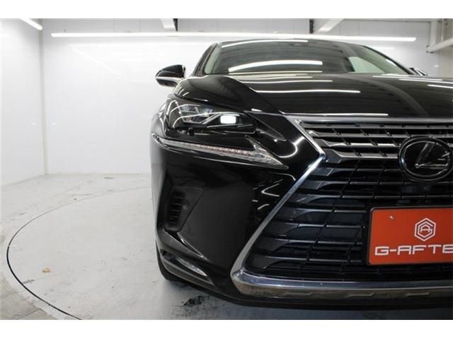 TOYOTA LEXUS NX300 2020