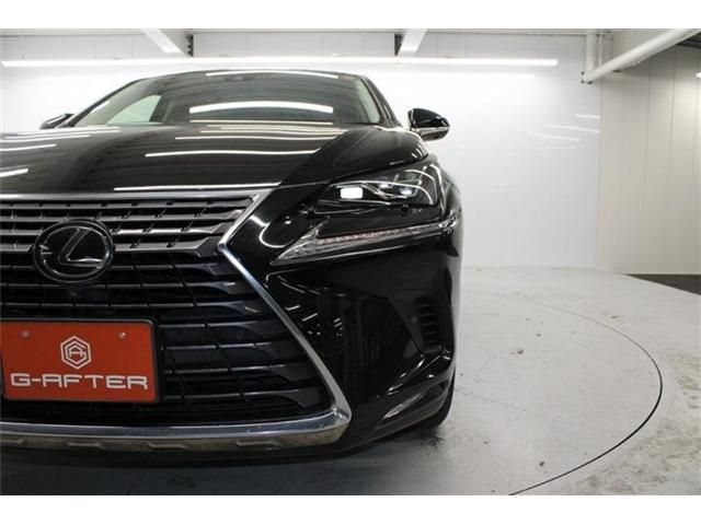 TOYOTA LEXUS NX300 2020