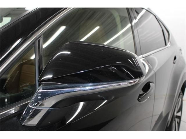 TOYOTA LEXUS NX300 2020