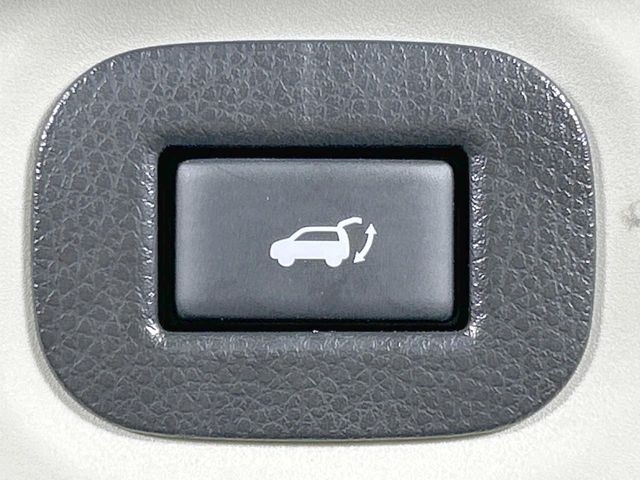 NISSAN X-TRAIL HYBRID 4WD 2019